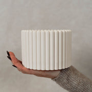 The Vessel - Ribbed Ivory